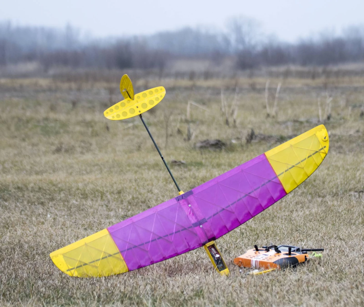 Alt 1m DLG 7 Alt 1m DLG - Image 7