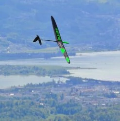 Kite 1.5m DLG -Remote Control Model Shop kite 1 5m dlg 60