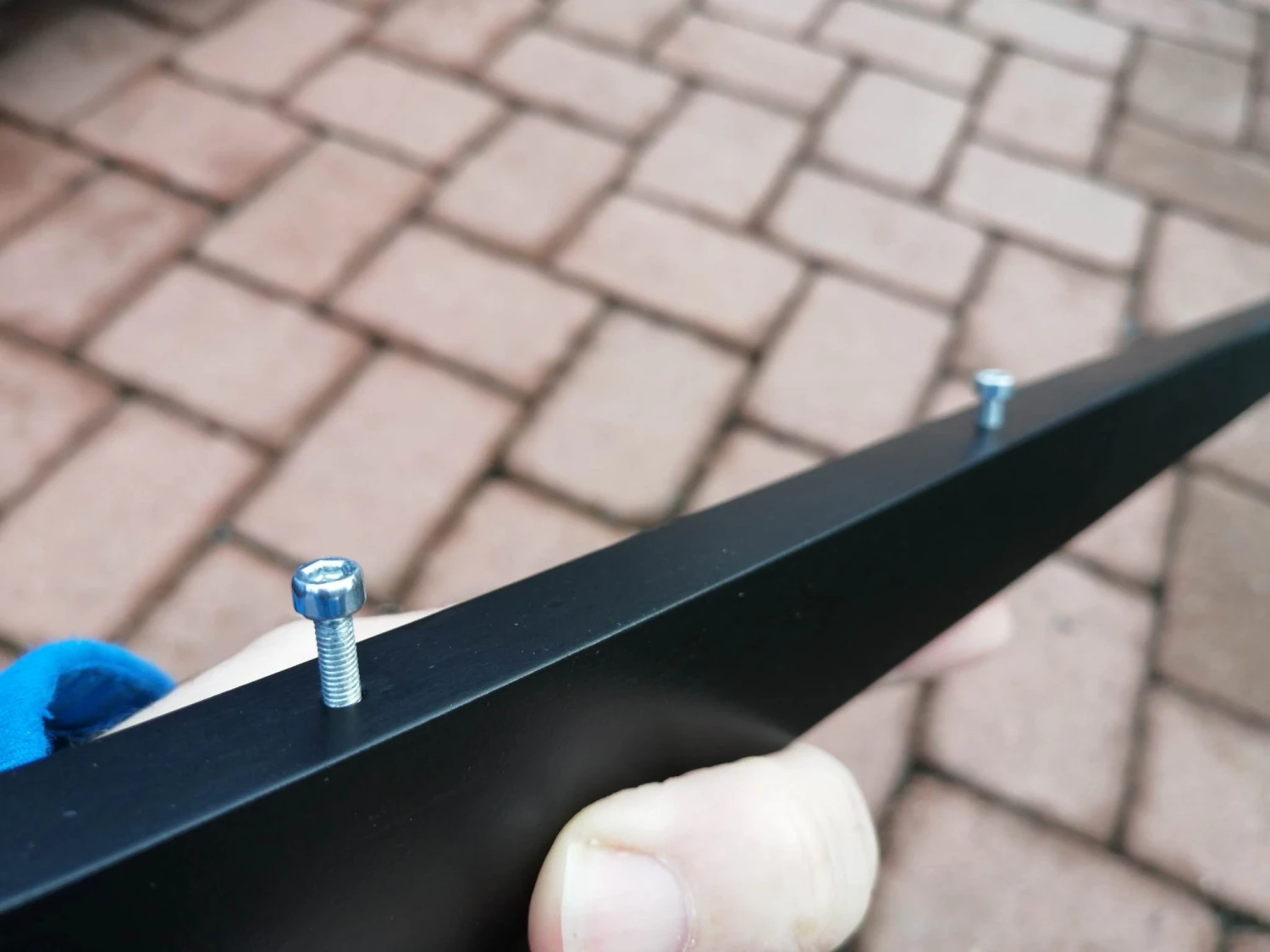 Mini Kiwi 1.33m 10 Mini Kiwi 1.33m - Image 10