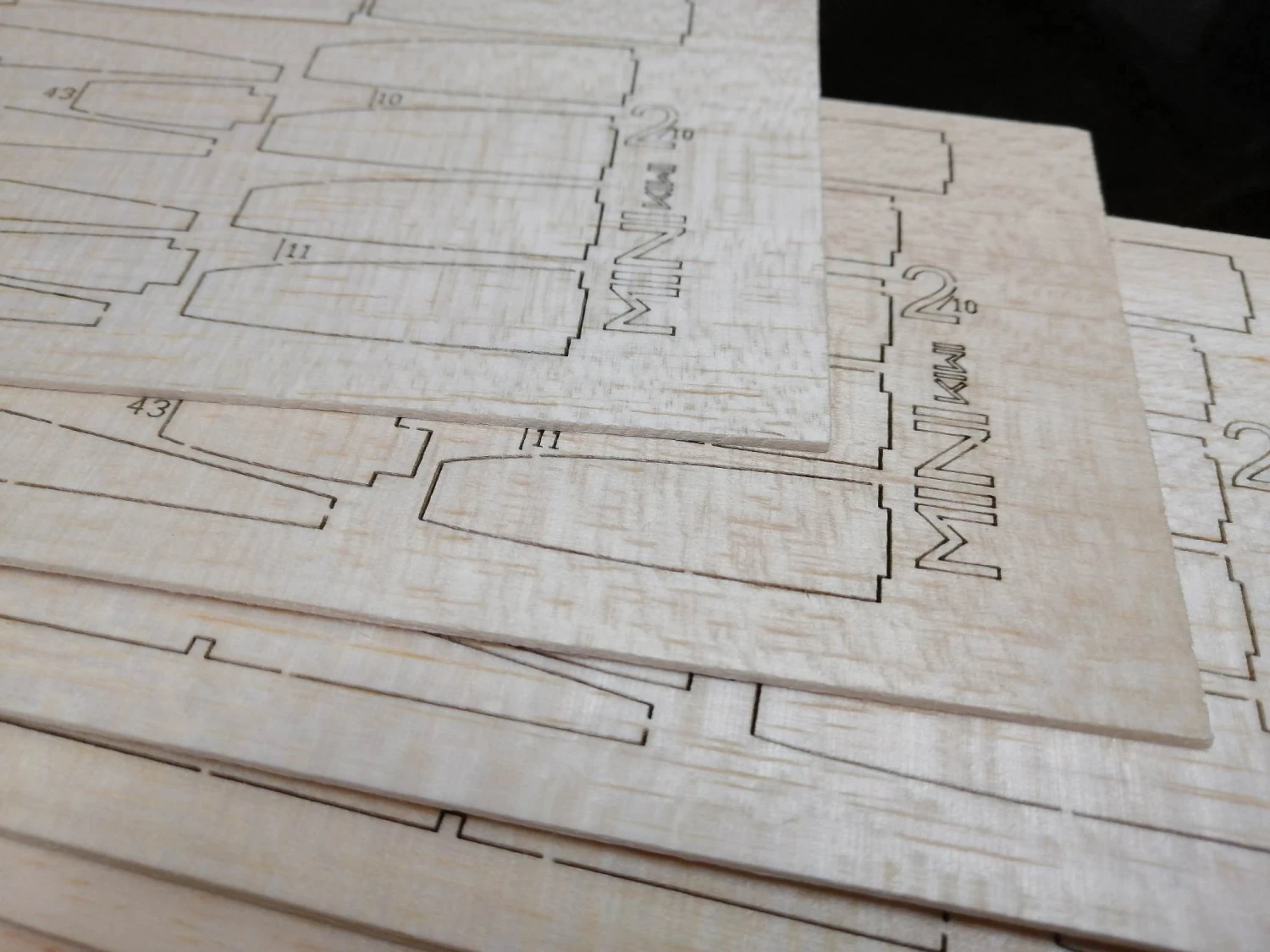 Mini Kiwi 1.33m 13 Mini Kiwi 1.33m - Image 13