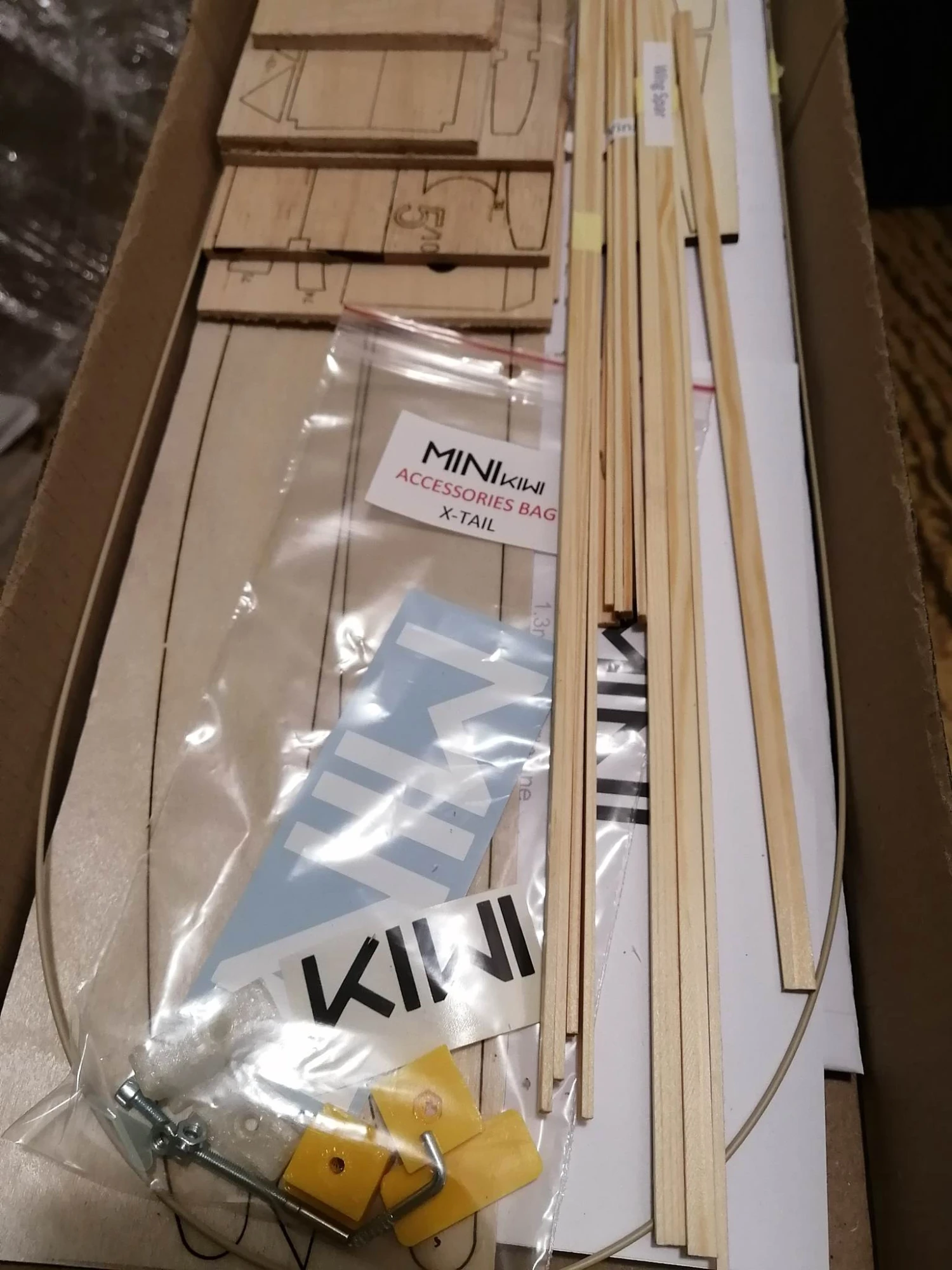 Mini Kiwi 1.33m 15 Mini Kiwi 1.33m - Image 15