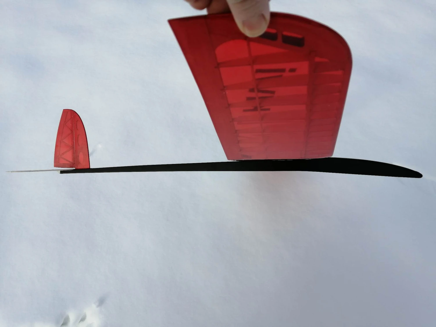 Mini Kiwi 1.33m 5 Mini Kiwi 1.33m - Image 5