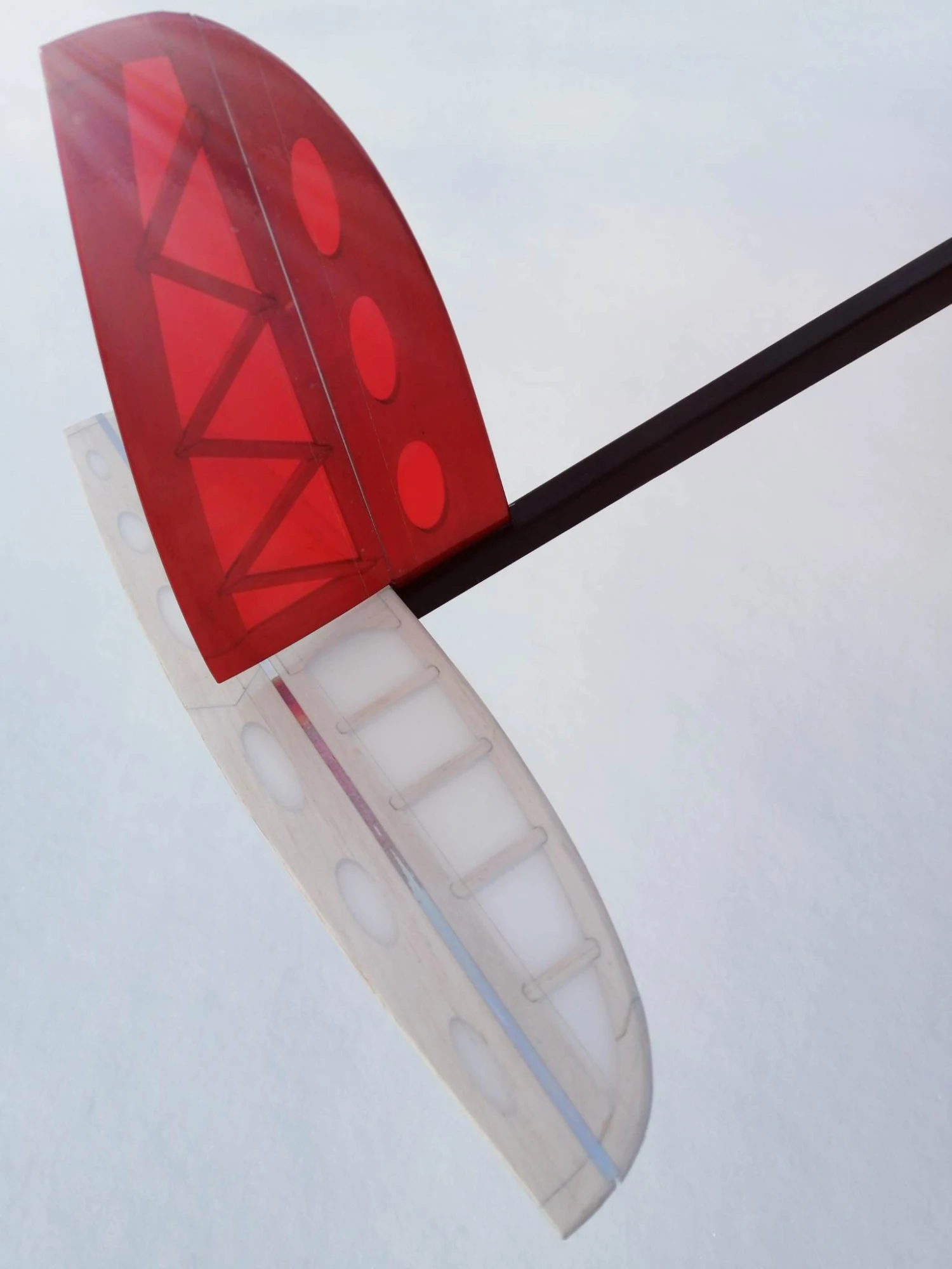 Mini Kiwi 1.33m 6 Mini Kiwi 1.33m - Image 6