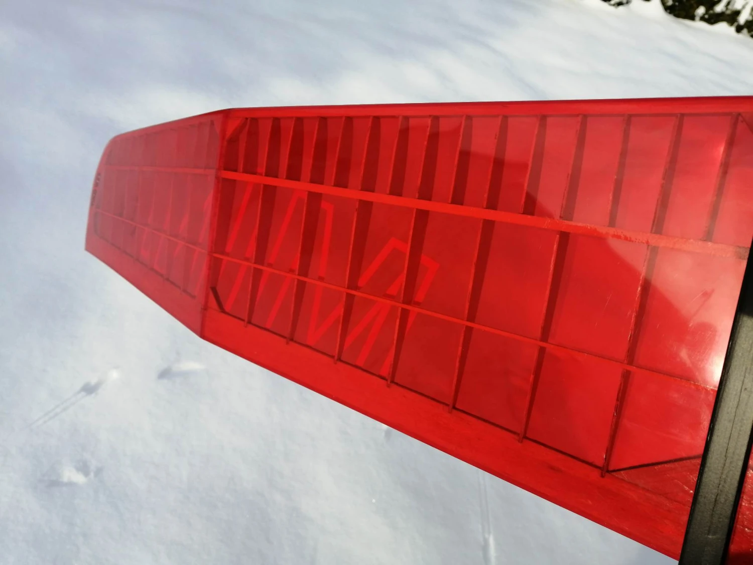 Mini Kiwi 1.33m 7 Mini Kiwi 1.33m - Image 7