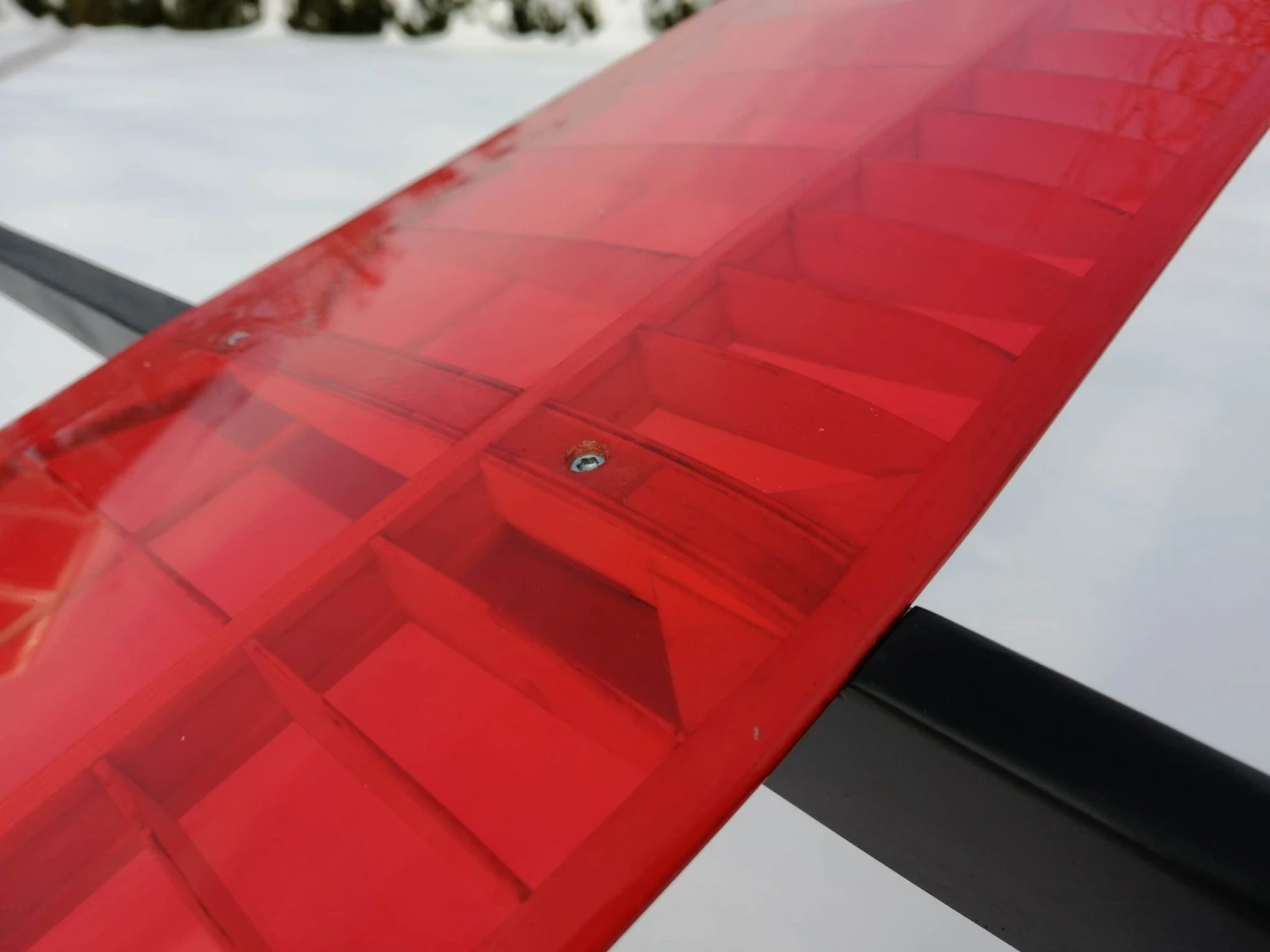 Mini Kiwi 1.33m 9 Mini Kiwi 1.33m - Image 9