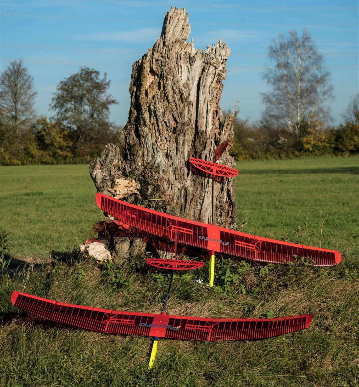 Purito 2m 6 Purito 2m - Image 6