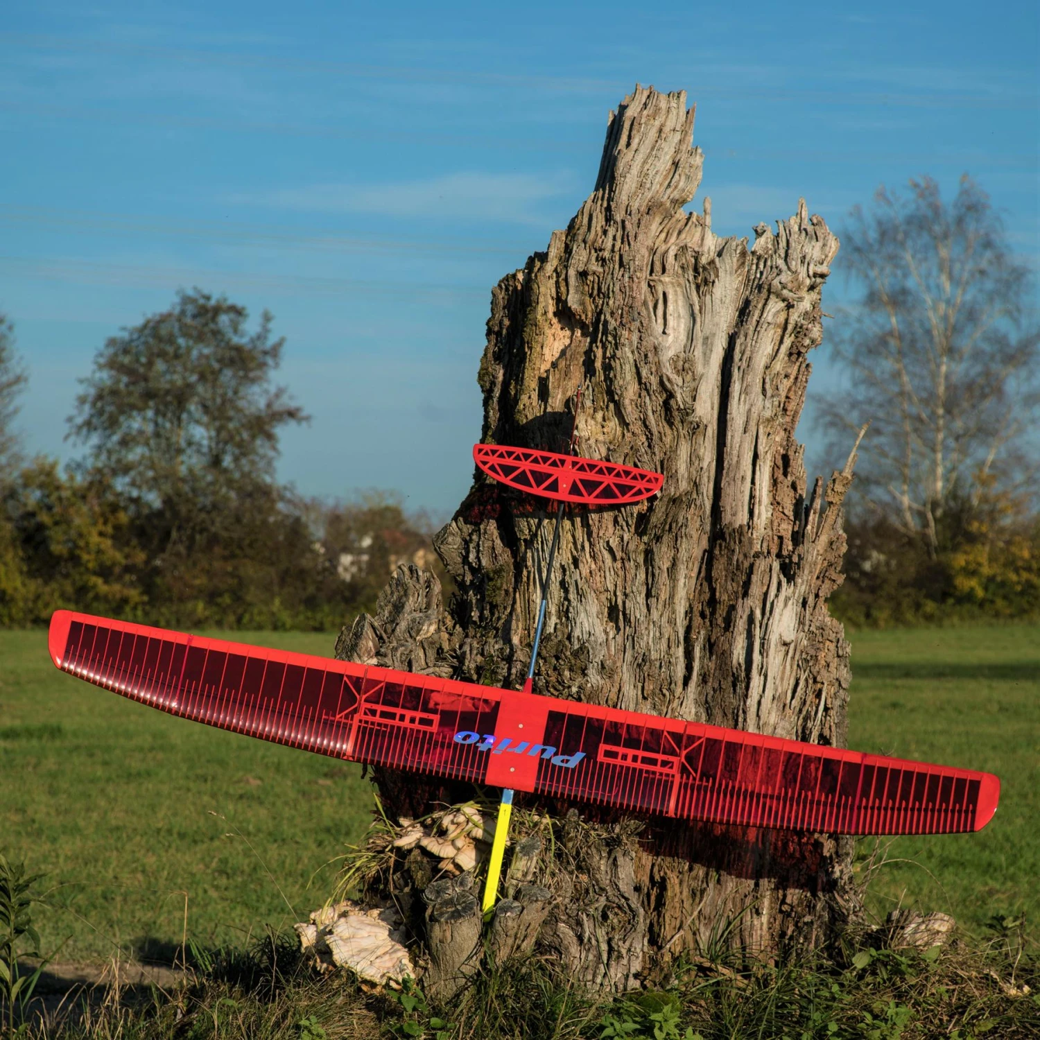 Purito 2m 7 Purito 2m - Image 7